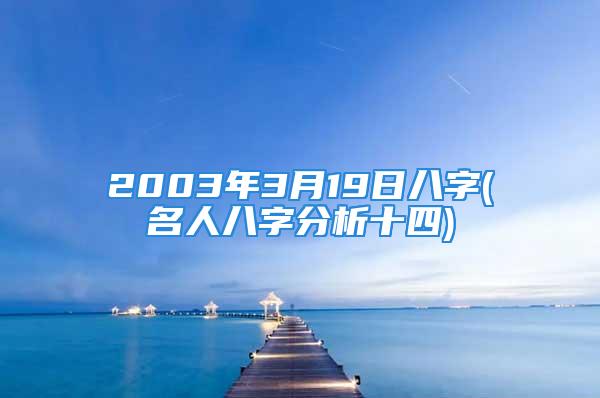 2003年3月19日八字(名人八字分析十四)