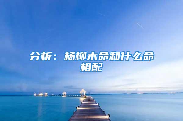 分析:杨柳木命和什么命相配