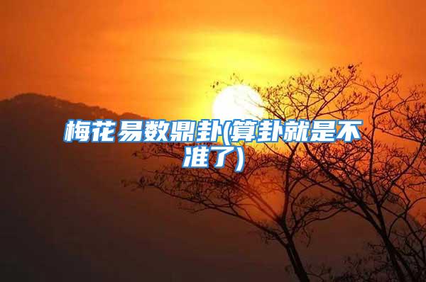 梅花易数鼎卦(算卦就是不准了)