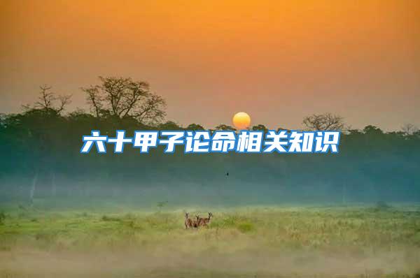 六十甲子论命相关知识