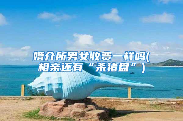 婚介所男女收费一样吗(相亲还有“杀猪盘”)