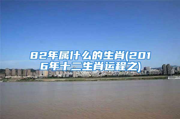 82年属什么的生肖(2016年十二生肖运程之)