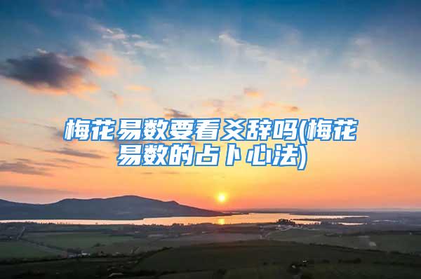 梅花易数要看爻辞吗(梅花易数的占卜心法)