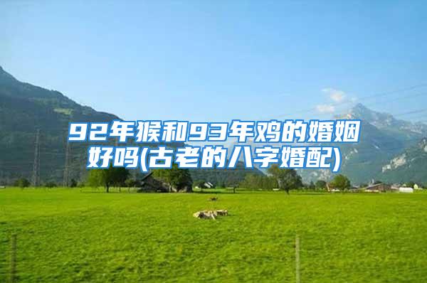 92年猴和93年鸡的婚姻好吗(古老的八字婚配)