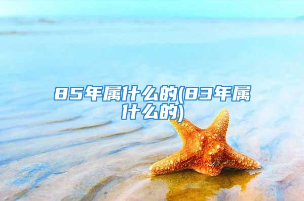 85年属什么的(83年属什么的)