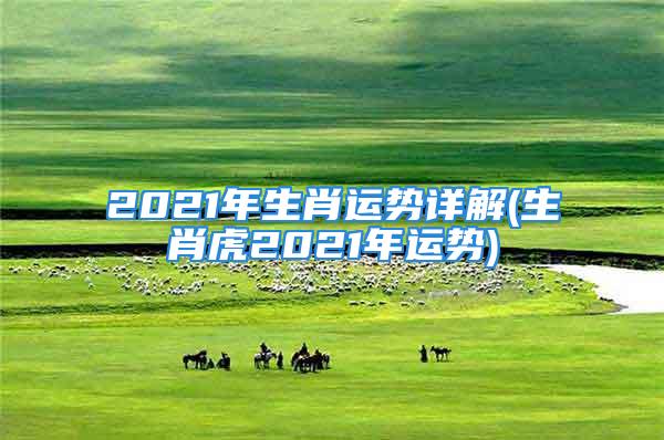 2021年生肖运势详解(生肖虎2021年运势)
