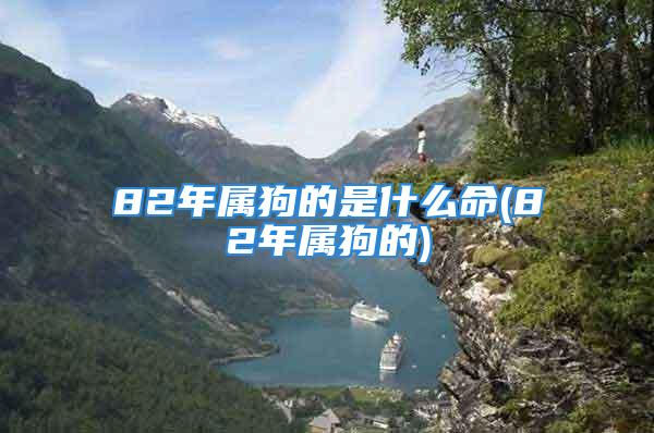 82年属狗的是什么命(82年属狗的)