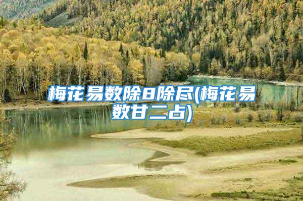 梅花易数除8除尽(梅花易数甘二占)