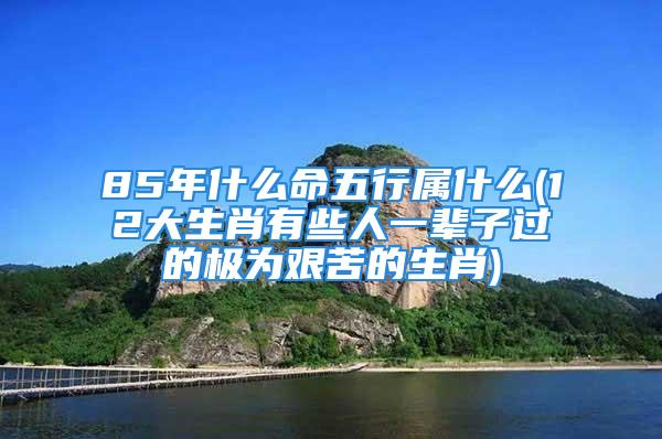 85年什么命五行属什么(12大生肖有些人一辈子过的极为艰苦的生肖)