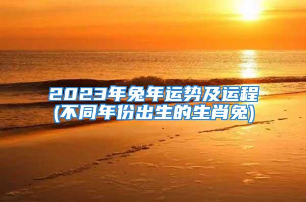 2023年兔年运势及运程(不同年份出生的生肖兔)