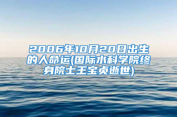 2006年10月20日出生的人命运(国际水科学院终身院士王宝贞逝世)