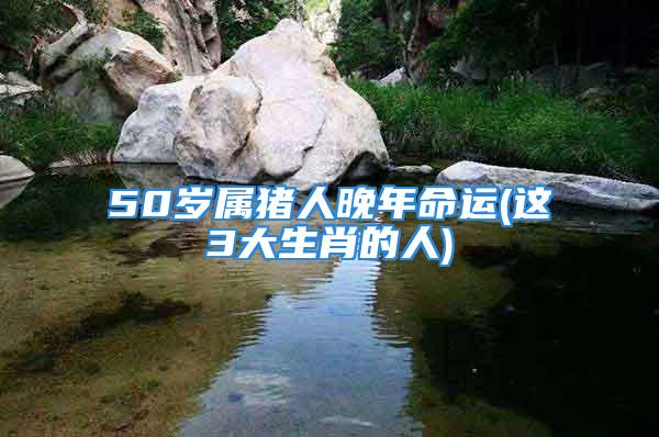 50岁属猪人晚年命运(这3大生肖的人)