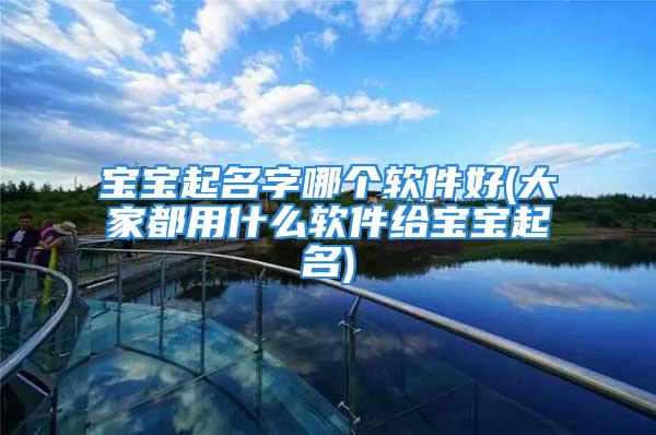 宝宝起名字哪个软件好(大家都用什么软件给宝宝起名)