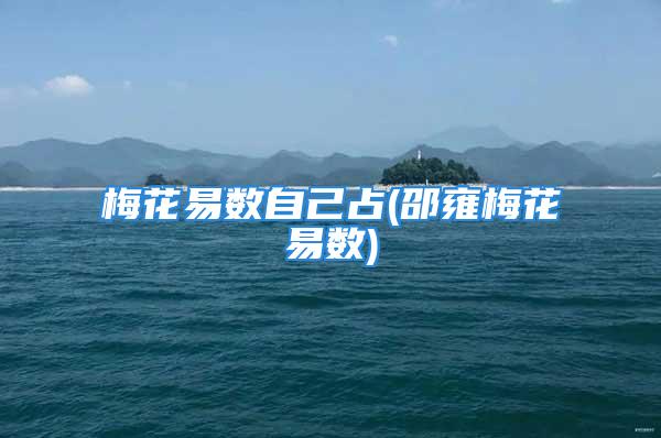 梅花易数自己占(邵雍梅花易数)