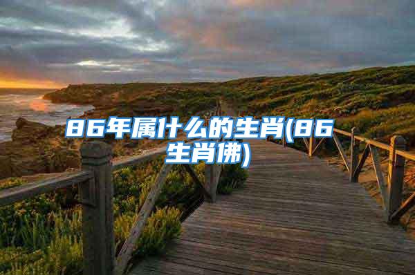 86年属什么的生肖(86 生肖佛)