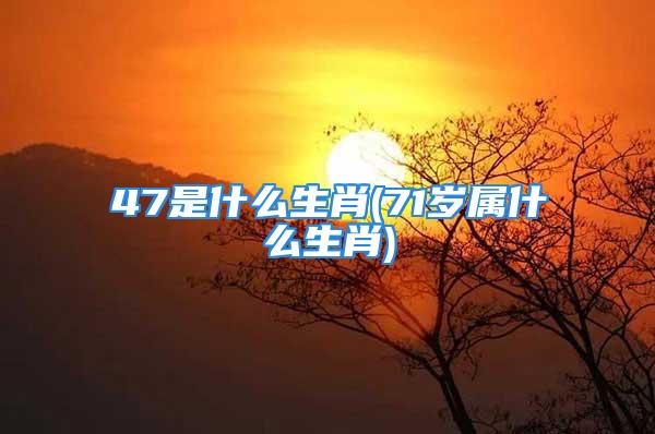 47是什么生肖(71岁属什么生肖)