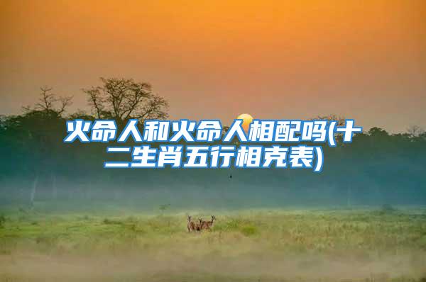 火命人和火命人相配吗(十二生肖五行相克表)
