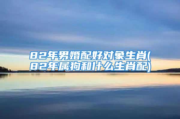 82年男婚配好对象生肖(82年属狗和什么生肖配)