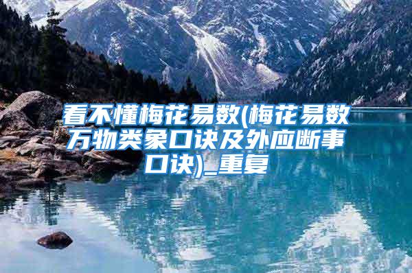 看不懂梅花易数(梅花易数万物类象口诀及外应断事口诀)_重复