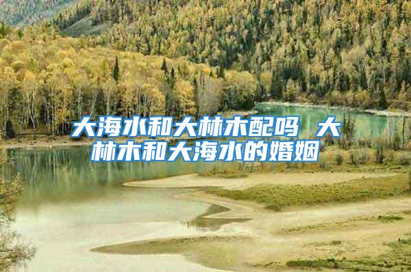 大海水和大林木配吗 大林木和大海水的婚姻