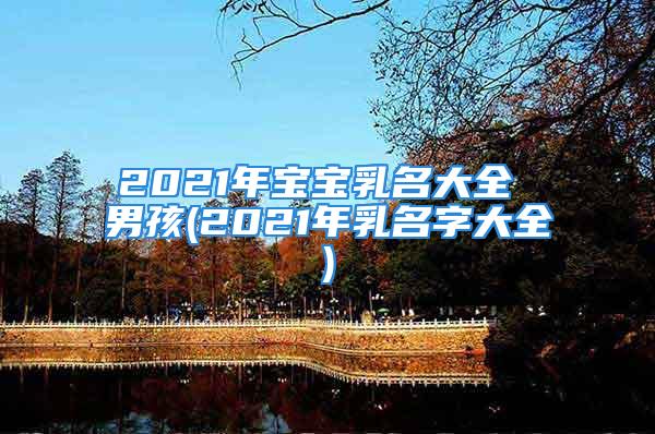 2021年宝宝乳名大全 男孩(2021年乳名字大全)