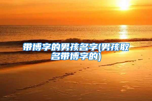 带博字的男孩名字(男孩取名带博字的)
