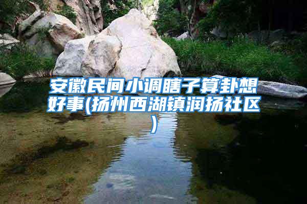安徽民间小调瞎子算卦想好事(扬州西湖镇润扬社区)