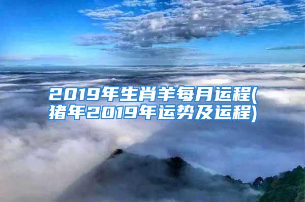 2019年生肖羊每月运程(猪年2019年运势及运程)