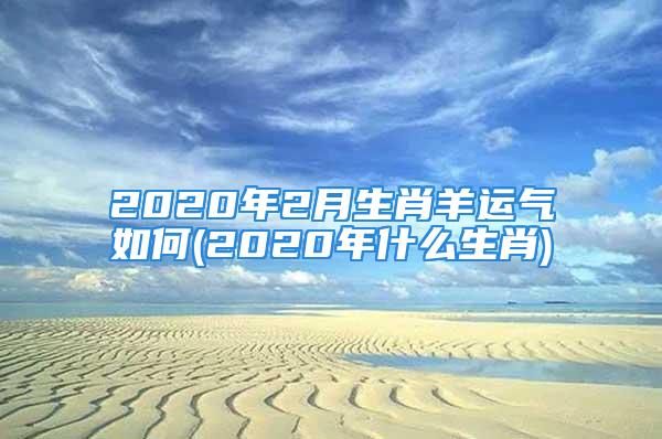 2020年2月生肖羊运气如何(2020年什么生肖)