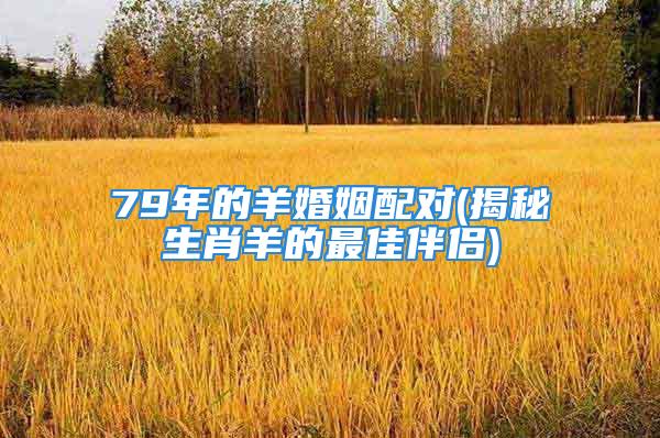 79年的羊婚姻配对(揭秘生肖羊的最佳伴侣)