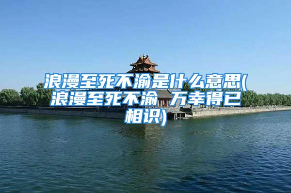 浪漫至死不渝是什么意思(浪漫至死不渝 万幸得已相识)