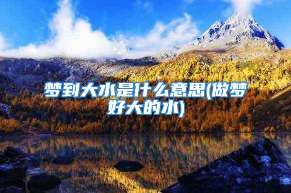 梦到大水是什么意思(做梦好大的水)
