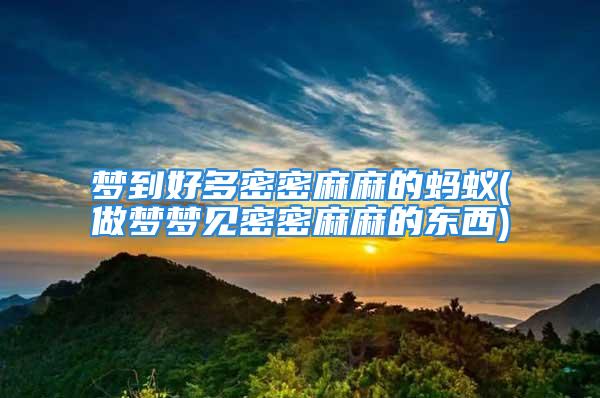 梦到好多密密麻麻的蚂蚁(做梦梦见密密麻麻的东西)