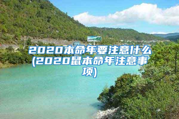 2020本命年要注意什么(2020鼠本命年注意事项)