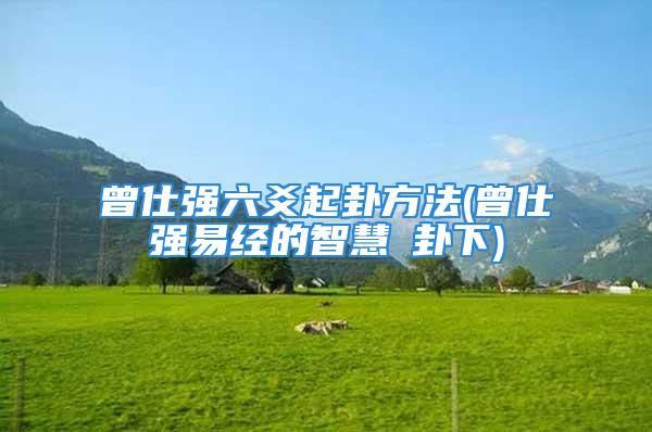 曾仕强六爻起卦方法(曾仕强易经的智慧夬卦下)