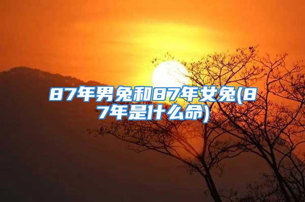 87年男兔和87年女兔(87年是什么命)