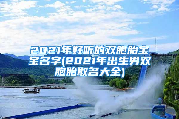 2021年好听的双胞胎宝宝名字(2021年出生男双胞胎取名大全)