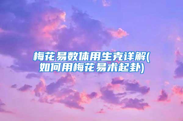 梅花易数体用生克详解(如何用梅花易术起卦)