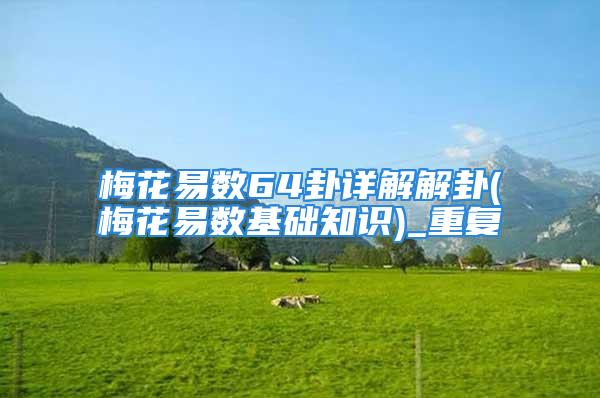 梅花易数64卦详解解卦(梅花易数基础知识)_重复