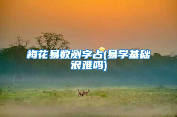 梅花易数测字占(易学基础很难吗)