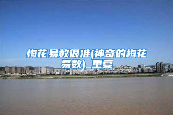 梅花易数很准(神奇的梅花易数)_重复