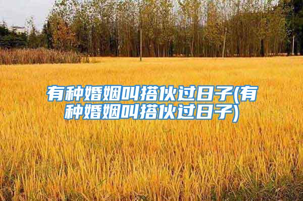有种婚姻叫搭伙过日子(有种婚姻叫搭伙过日子)
