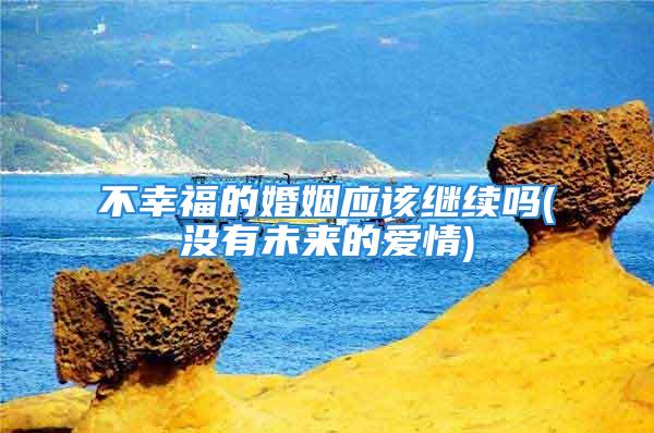 不幸福的婚姻应该继续吗(没有未来的爱情)