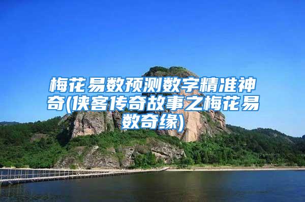梅花易数预测数字精准神奇(侠客传奇故事之梅花易数奇缘)