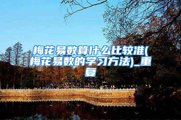 梅花易数算什么比较准(梅花易数的学习方法)_重复