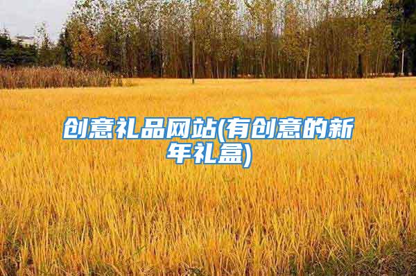 创意礼品网站(有创意的新年礼盒)