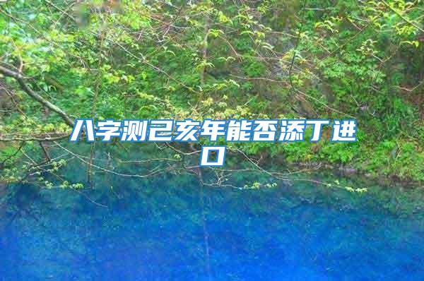 八字测己亥年能否添丁进口