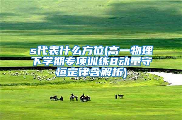 s代表什么方位(高一物理下学期专项训练8动量守恒定律含解析)