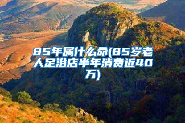 85年属什么命(85岁老人足浴店半年消费近40万)