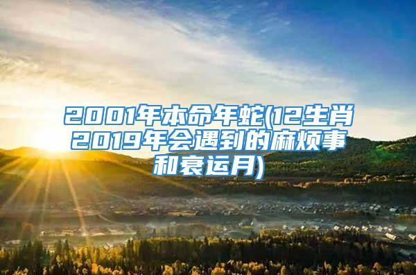 2001年本命年蛇(12生肖2019年会遇到的麻烦事和衰运月)